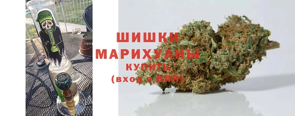 PSILOCYBIN Тутаев