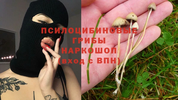 mdma Богданович