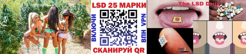 OMG вход  Бородино  Марки N-bome 1,5мг 