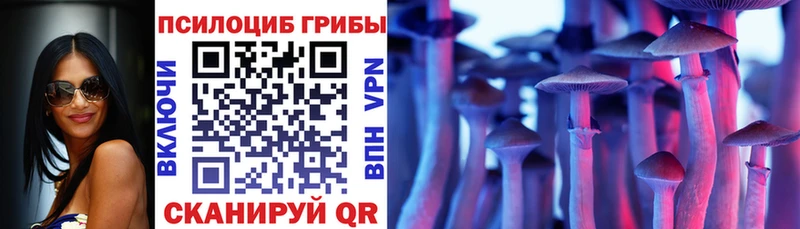 Галлюциногенные грибы Psilocybine cubensis  hydra как войти  Бородино  наркотики 